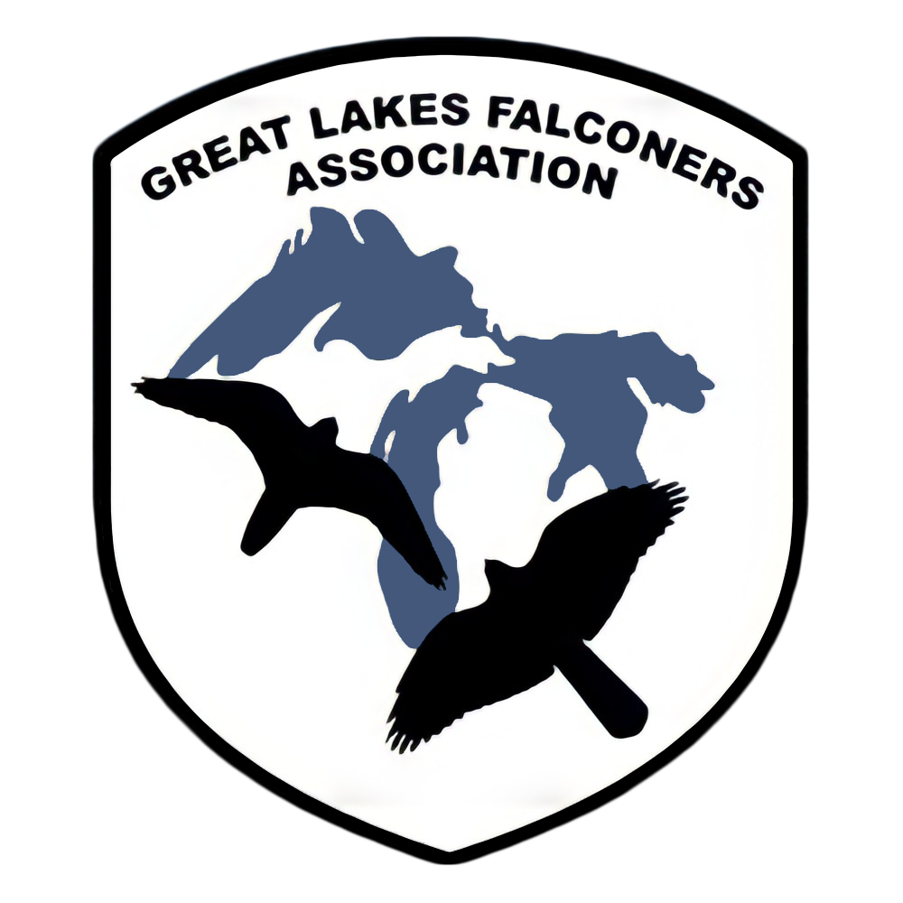 Home - Great Lakes Falconers Association - Illinois Falconry